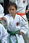Thumbnail of DSC_1343.JPG