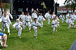 Thumbnail of DSC_1346.JPG