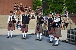 Thumbnail of DSC_1442.JPG