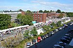 Thumbnail of DSC_1554.JPG