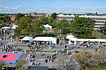 Thumbnail of DSC_1555.JPG