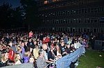 Thumbnail of DSC_2207.JPG