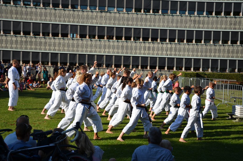 DSC_1157.jpg
