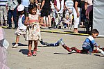 Thumbnail of DSC_0586.jpg
